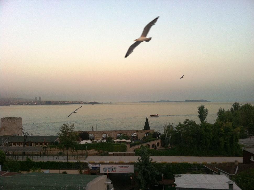 Spinel Hotel - Old City Istanbul Eksteriør bilde